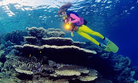 Diving in Red Sea, Hurghada, Egypt