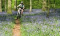Forest of Dean Cycle Route