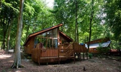 Blackwood Forest Golden Oak cabin