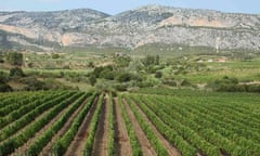 Atha ruja vineyard, Sardinia