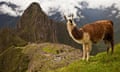 Machu Picchu, Peru