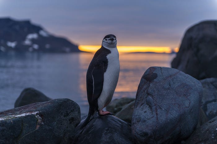 Spending Time in Antarctica Before and After the Inauguration of the New Brazilian Research Base