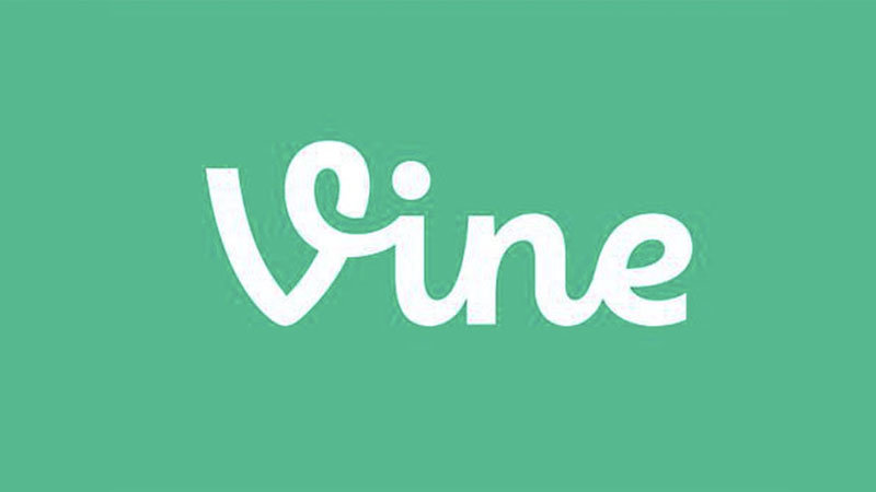 Vine