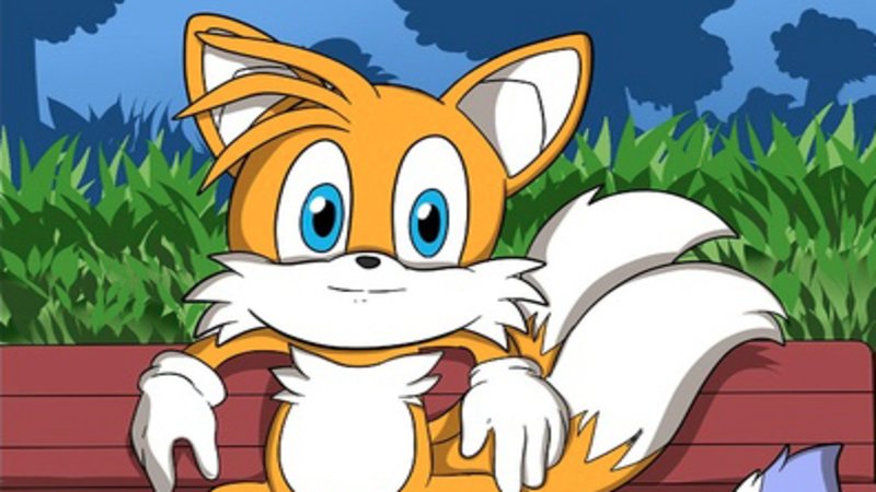 tails sitting on a bench