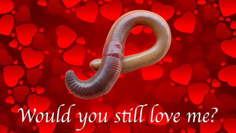 Would You Still Love Me If I Was A Worm meme.