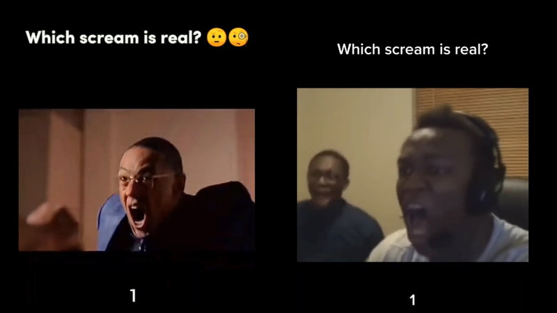 Which Scream Is Real meme example.