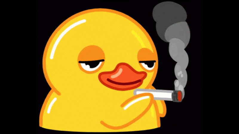 Duck Smoking GIF meme.