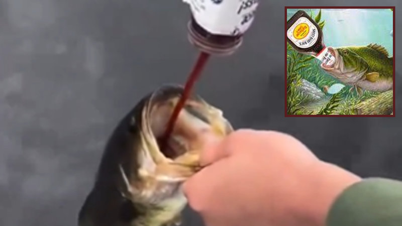 SweetBabyFishin / Guy Feeding Barbeque Sauce to Fish image examples depicting a man pouring bbq sauce into a fish's mouth.