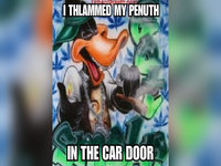 I Thlammed My Penith in the Car Door meme format and example depicting daffy duck in gangsta attire smoking a blunt.