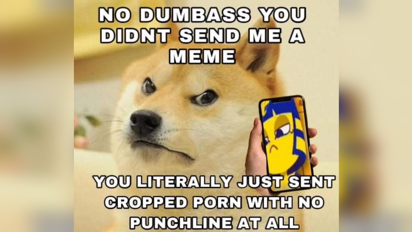 The Joke Is Porn meme example with Doge holding up a phone depicting Ankha Zone.