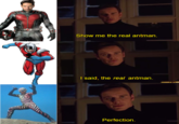 Show me the real antman. I said, the real antman. Perfection.