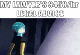 MY LAWYER'S $458/hr LEGAL ADVICE