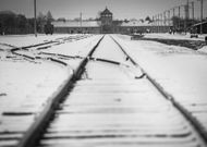 Littérature : 5 classiques pour ne pas oublier Auschwitz