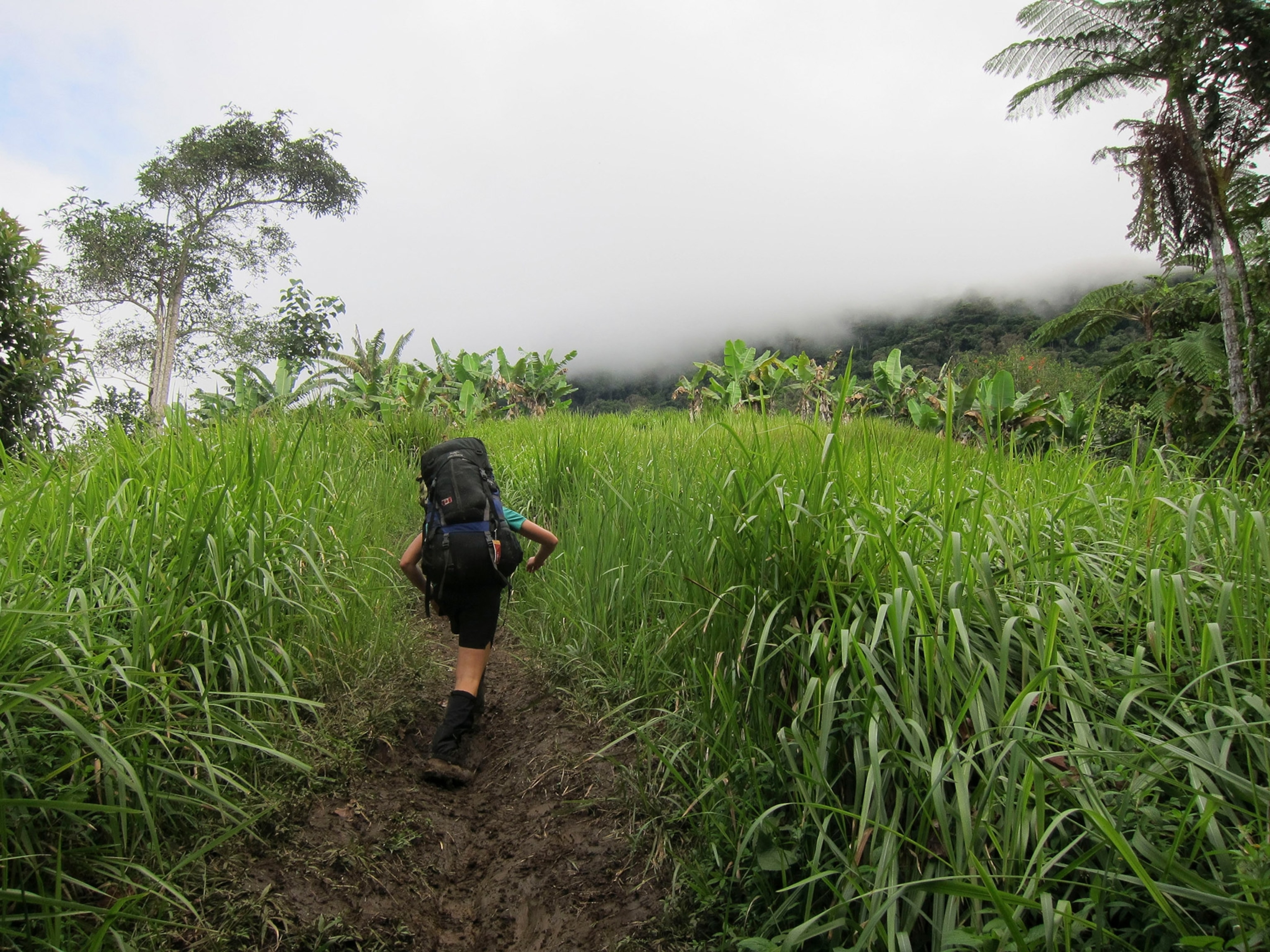 a hiker climbing along the Kokoda Track in Papua New Guinea