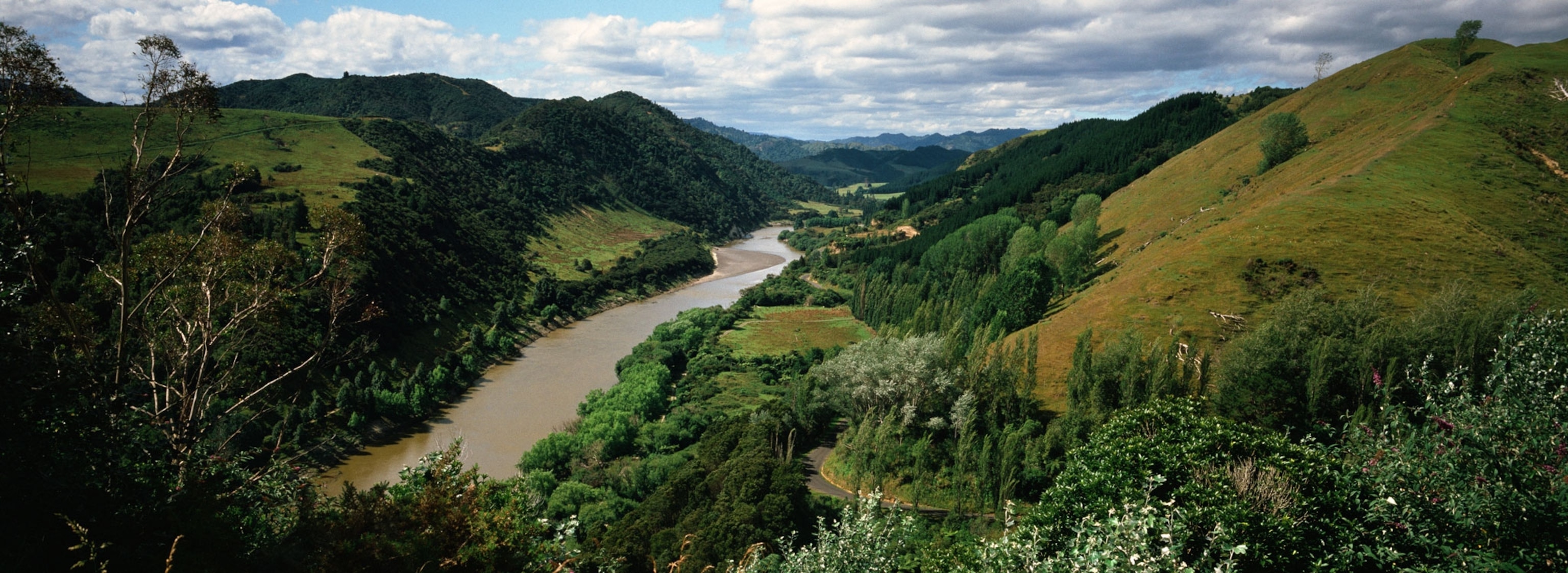 View of the Whanganui River from above