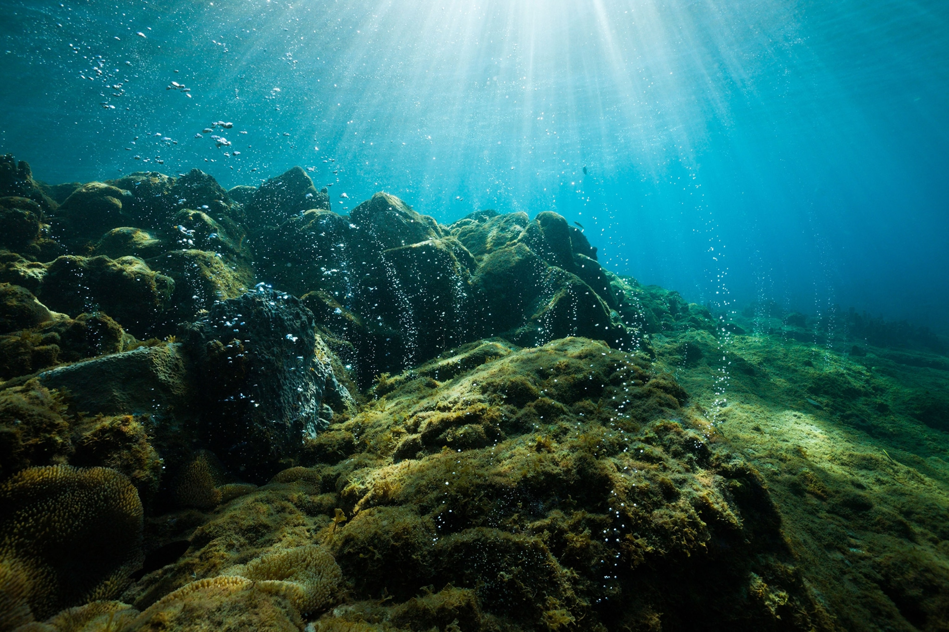 Volcanic Air Bubbles at Champagne Beach, Caribbean Sea, Dominica