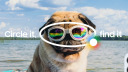 Smartphone, Google, Android, Ki, Knstliche Intelligenz, Surfen, Hund, Sonnenbrille, Circle to Search