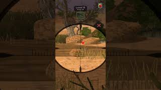 Animal Hunter ： Wild Shooting 13