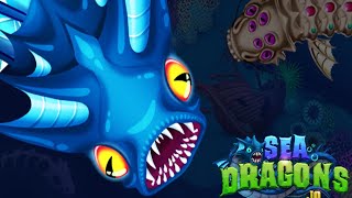 SeaDragons.io Gameplay