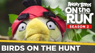 Angry Birds On The Run S2 | Birds On The Hunt - Ep5