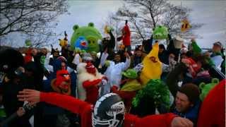 Subscribe to Angry Birds! Celebrating 1 Billion YouTube views with a Rovio Harlem Shake