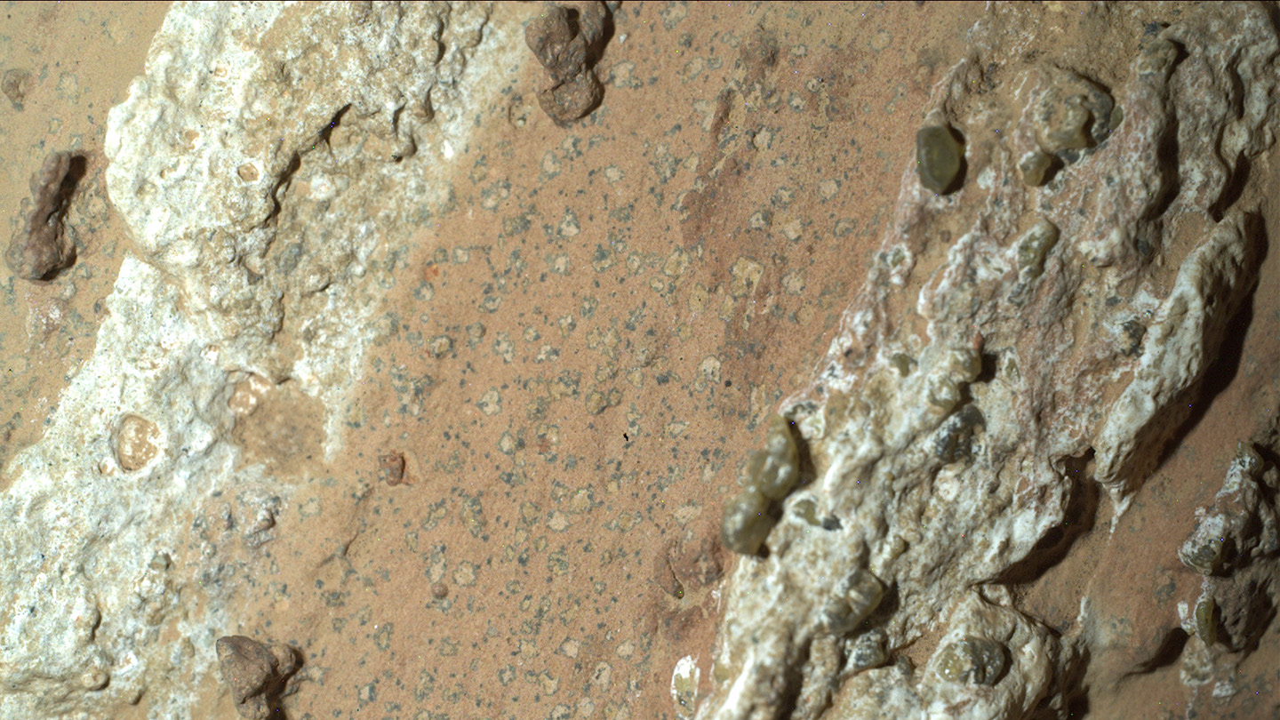 An image of a rock on Mars taken by the NASA rover Perseverance. Rocky white stripes flank a clay-colored area that is speckled with dark spots.