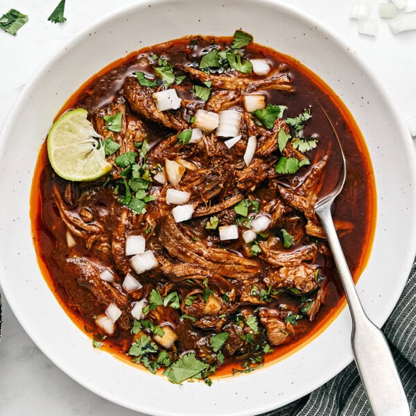 A white bowl of birria.