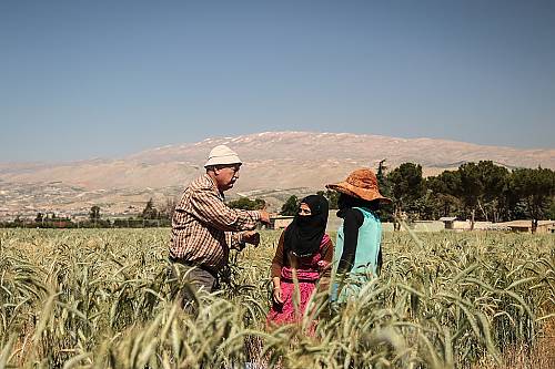 Final activity of a safeguarding project in Lebanon 