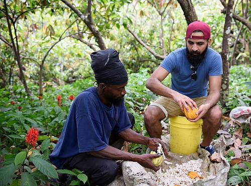 In Grenada, the International Assistance project ‘Proud of my Heritage’ begins