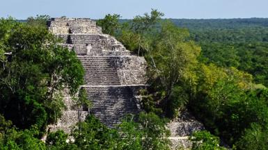 A pyramid in the Calakmul Mayan ruins in the state of Campeche.