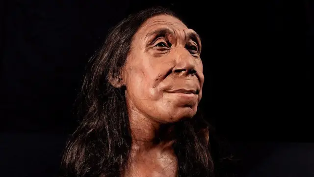 neandertal