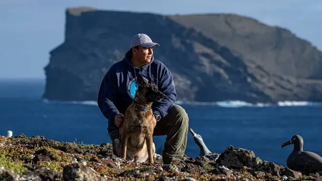 Julio Hernández Montoya en la Isla Guadalupe