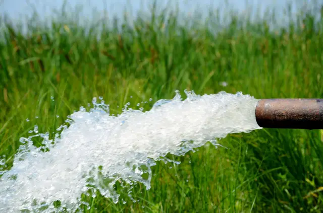 Agua en un pasto