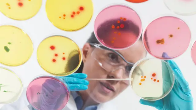 Investigadora mirando una placa de petri en el laboratorio 