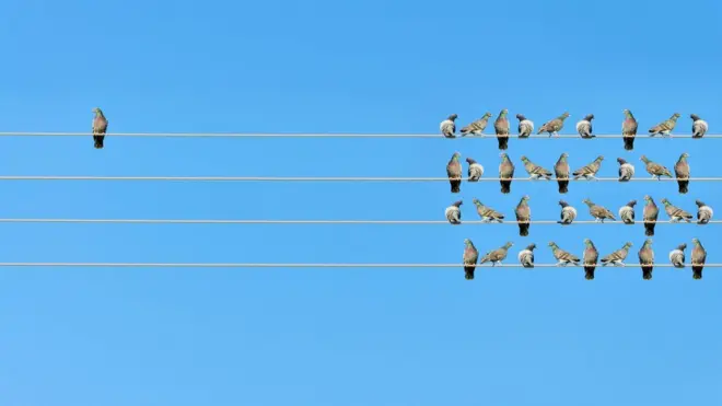 Palomas en cables con una separada.