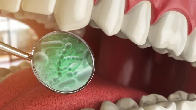 bacterias orales