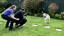 Behind the Scenes - Canine Partners