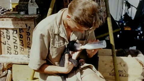 Experience Attenborough's first expedition ever in colour