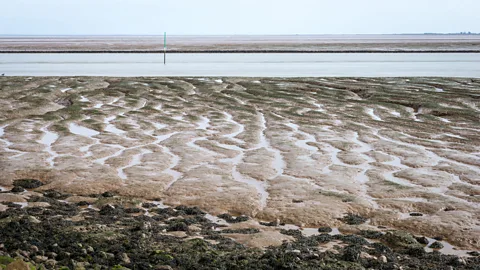 Alamy Even now, the mudflats on the Wash remain treacherous (Credit: Alamy)