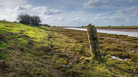 Alamy The lowlands of the Wash have formed the backdrop for Morris’s search (Credit: Alamy)