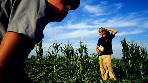 Getty Images Is Afrikaans' future in rural pockets that resist the seismic changes in the country? (Credit: Getty Images)