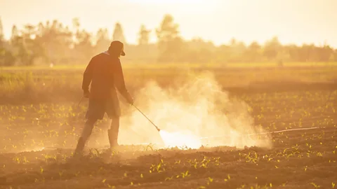 Alamy Industrial farming has turned much of the earth's surface into a hostile environment for insects (Credit: Alamy)