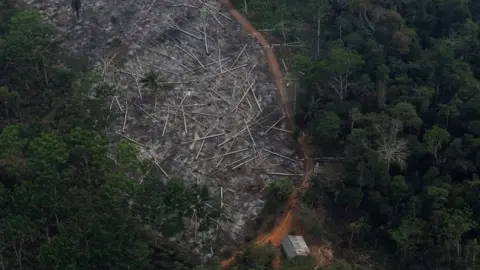 Reuters An aerial view of a deforested plot of the Amazon at the Bom Futuro National Forest in Porto Velho, Rondonia State, Brazil, September 3, 2015