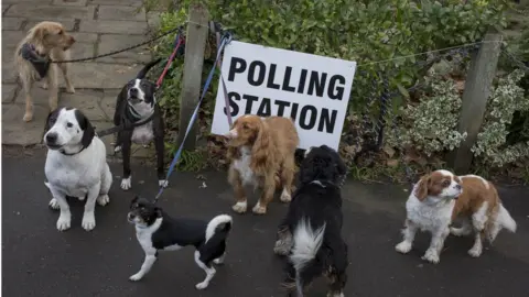 Getty Images Dogs waiting outside a polling station