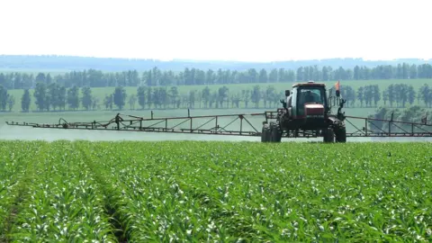 Getty Images In Beidahuang Group Farm, sorghum leaf surface was sprayed with micro fertilizer to promote the growth of sorghum crops