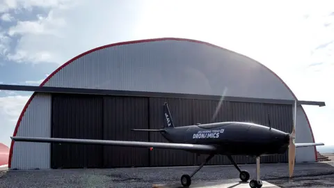 Dronamics Scaled-down prototype of the Black Swan