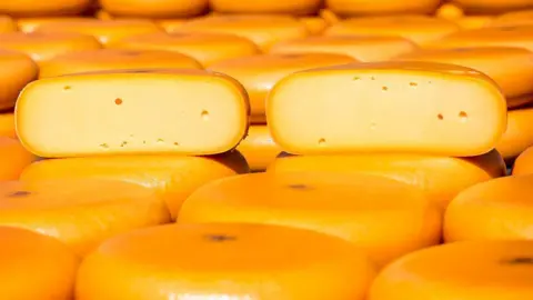 A picture of Gouda cheese in the Netherlands 