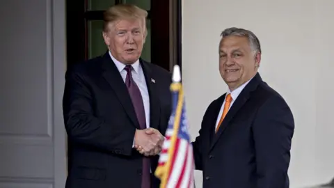 Orbán and Trump at the White House in 2019