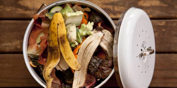 Composting could be set for U.S. boom, and it needs one, decades behind recycling