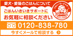 愛犬・愛猫のごはんについて